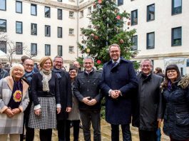 Weihnachtsbaum Landtag