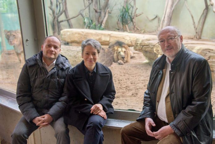 Spenden-Aktion zur Erweiterung der Löwen-Außenanlage mit Stefan Krämer, Gesellschafter der Löwen Frankfurt Eishockey Betriebs GmbH, Dezernentin Dr. Ina Hartwig und Zoodirektor Professor Dr. Manfred Niekisch (Foto: Bernd Kammerer)