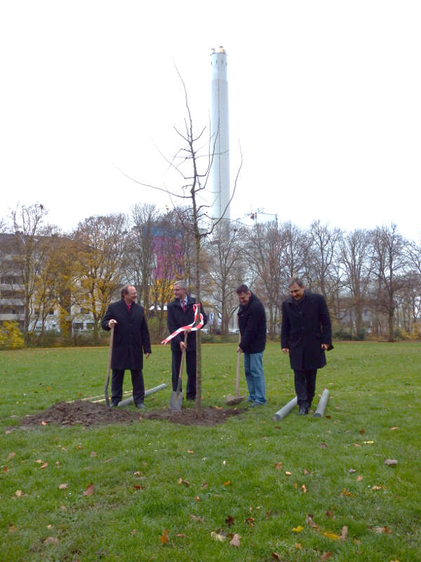 Baumpflanzung im Marienpark (Foto: GML)