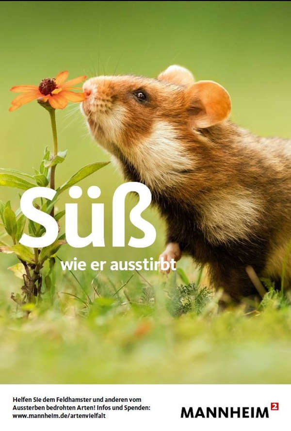 Feldhamsterplakat zur Artenschutzkampagne (Quelle: Stadt Mannheim)