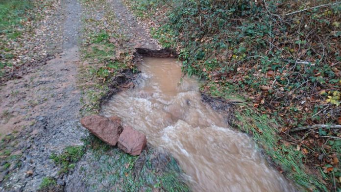 Die entstandene Leckage (Foto: Presseteam der Feuerwehr VG Lambrecht) Die entstandene Leckage (Foto: Presseteam der Feuerwehr VG Lambrecht)