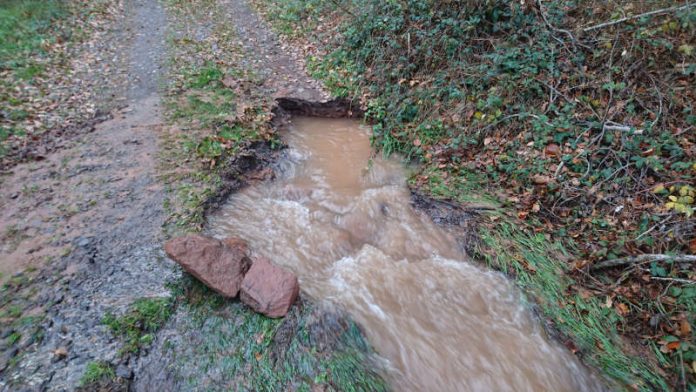 Die entstandene Leckage (Foto: Presseteam der Feuerwehr VG Lambrecht)