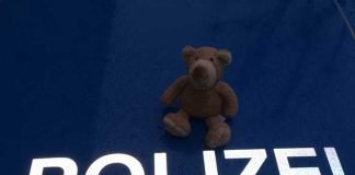 Wem gehört dieser Bär?