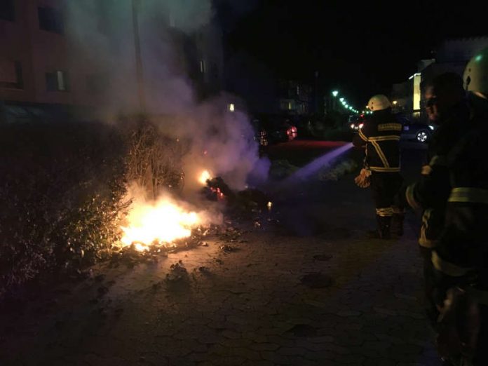 Die Hecke wurde abgelöscht (Foto: Feuerwehr Bad Kreuznach)