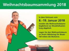 Weihnachtsbaumsammlung