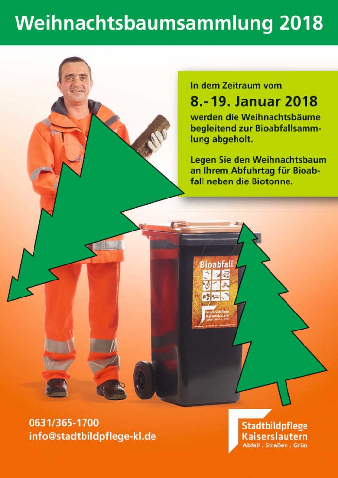 Weihnachtsbaumsammlung