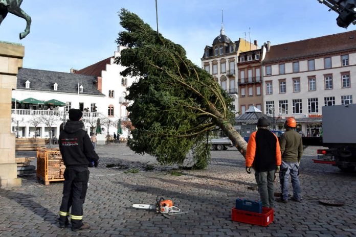 Auf dem Landauer Rathausplatz hat heute der Aufbau des Kunsthandwerklichen Thomas Nast Nikolausmarkts begonnen. (Foto: Stadt Landau in der Pfalz)