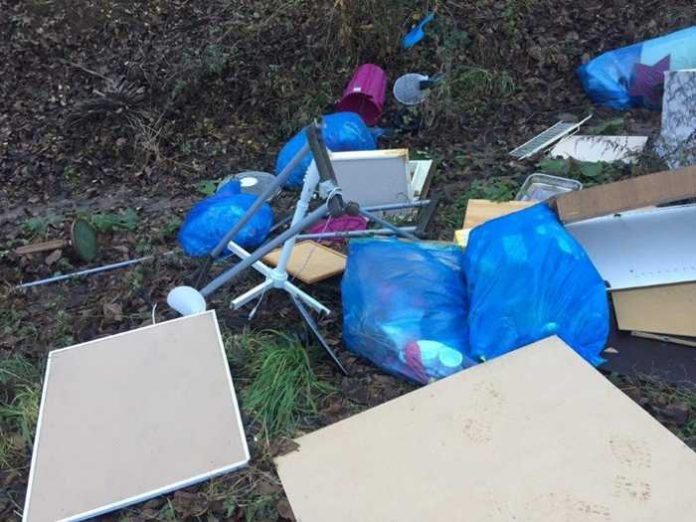 Illegale Müllentsorgung Illegale Müllentsorgung