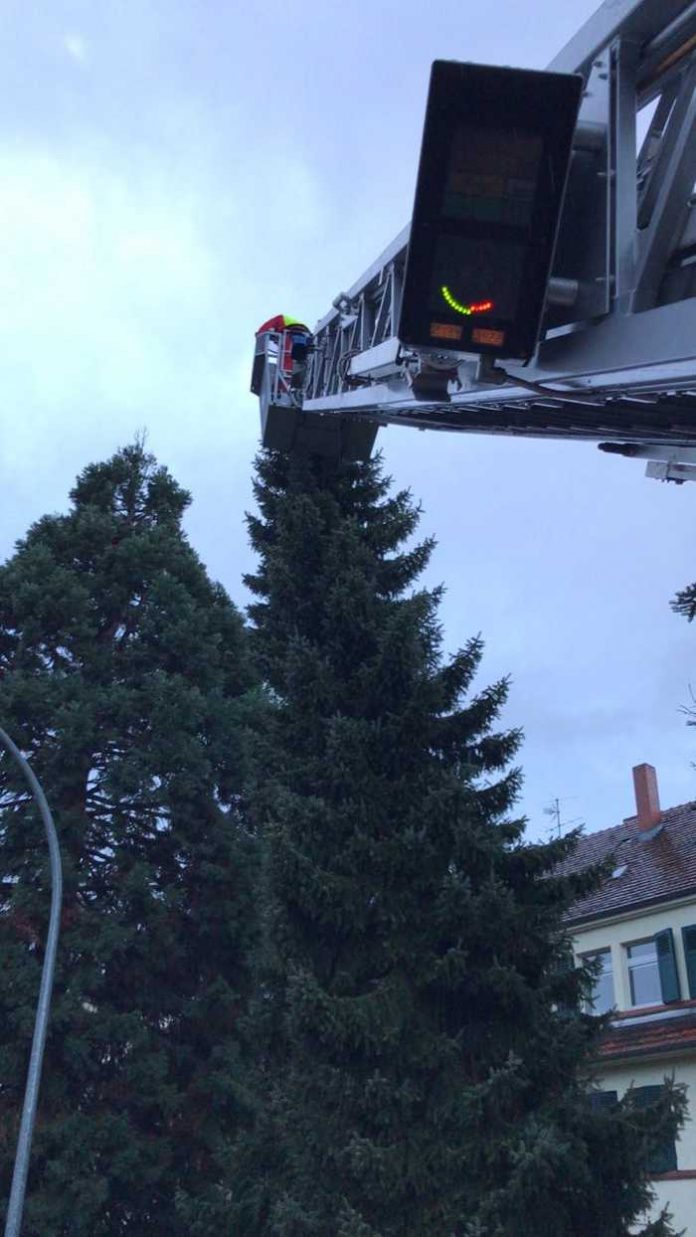 Einsatz wegen einem Baum - Foto: Feuerwehr Speyer