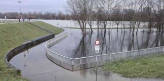 Land unter am Rhein bei Ginsheim (Foto: Regierungspräsidium Darmstadt)