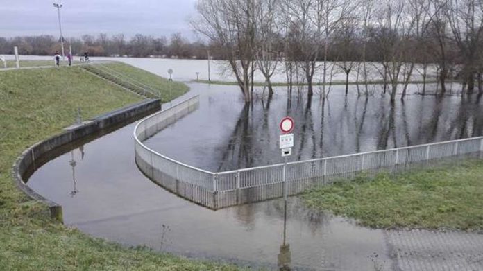 Land unter am Rhein bei Ginsheim (Foto: Regierungspräsidium Darmstadt)