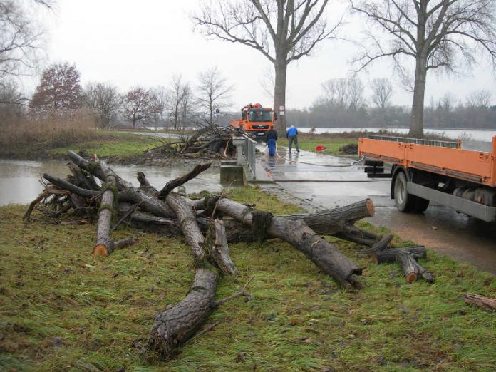 Beschäftige der RP-Deichmeisterei beseitigen Treibgut am Nordheimer Altrhein. (Foto: RP Darmstadt) Beschäftige der RP-Deichmeisterei beseitigen Treibgut am Nordheimer Altrhein. (Foto: RP Darmstadt)