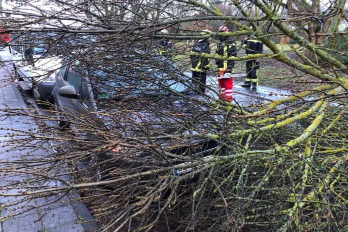 Orkantief „Burglind“ hat auch in Landau Bäume entwurzelt und Äste abgerissen. Die Feuerwehr musste zu zahlreichen Einsätzen ausrücken. (Foto: Feuerwehr Landau)