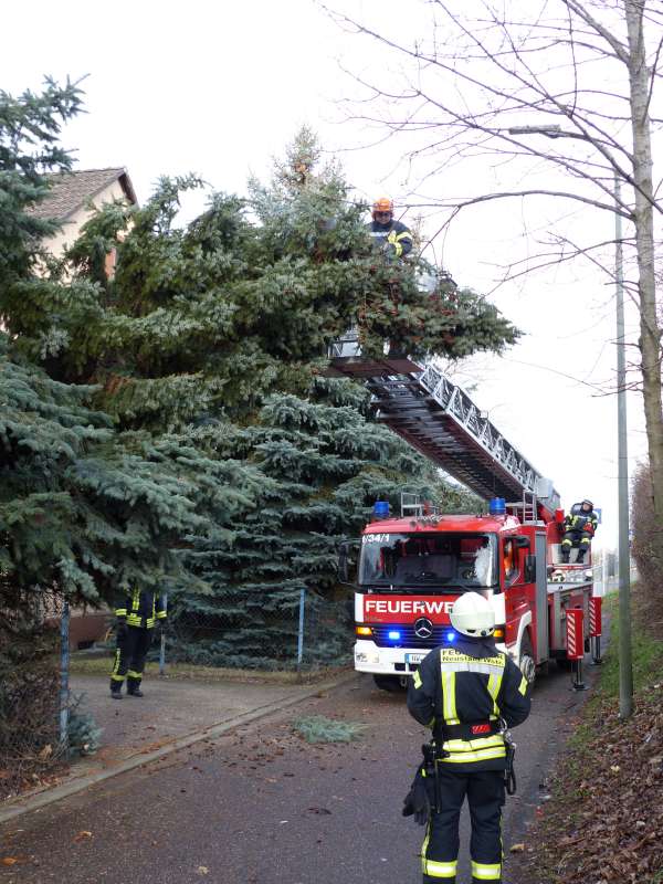 Einsatz in der Landwehrstraße (Foto: Feuerwehr Neustadt)