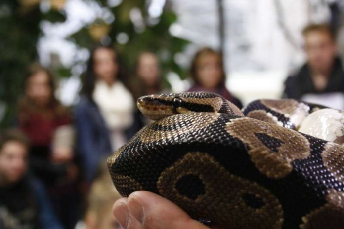 Ob Wertschätzung und Erhalt der biologischen Vielfalt, Tier-, Arten- und Umweltschutz oder der verantwortungsvolle Umgang mit Tieren – die Zooschule Landau leistet einen besonderen Beitrag zur Umweltbildung in der Region und wird voraussichtlich im Frühjahr 2018 mit kostenfreiem WLAN ausgestattet. (Foto: Stadt Landau in der Pfalz)