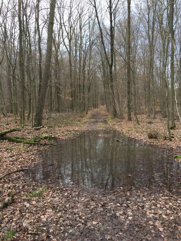 Foto: Landratsamt Rhein-Neckar-Kreis