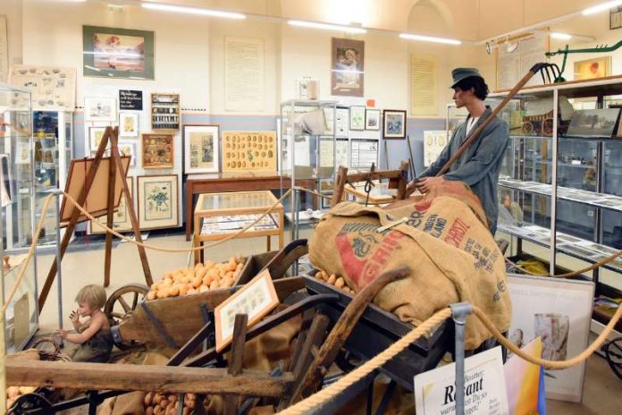 Kartoffelmuseum (Foto: Sparkasse Vorderpfalz/ Klaus Venus)