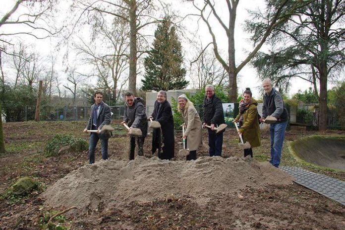 Beim Spatenstich im Zoo Heidelberg für die neue Löwenanlage: Kaufmännischer Geschäftsführer Frank-Dieter Heck, Zoodirektor Dr. Klaus Wünnemann, 1. Vorsitzender der Tiergartenfreunde Dr. Jan Gradel, Stadträtin Kristina Essig, Stadtrat Karlheinz Rehm, Projektleiterin Christina Schehle von faktorgruen und Detlef Böttinger von Böttinger Garten- und Landschaftsbau (v.l.n.r.) (Foto: Heidrun Knigge/Zoo Heidelberg)