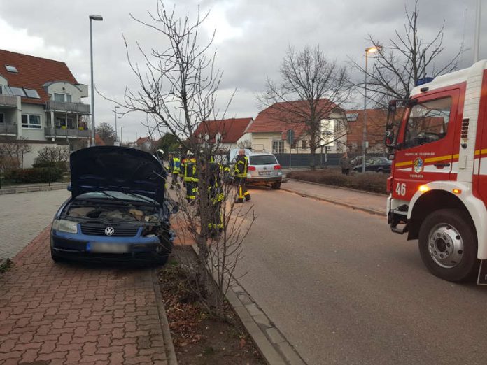 Foto von der Einsatzstelle (Foto: Feuerwehr Haßloch)