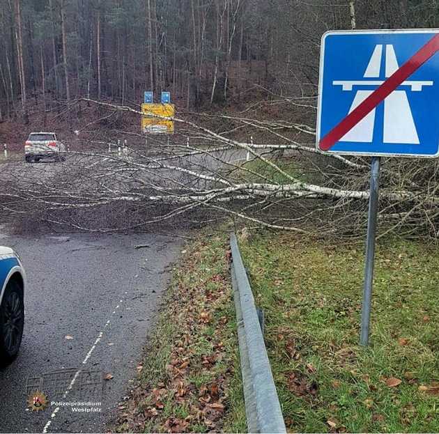 Umgestürzter Baum in der Autobahnausfahrt