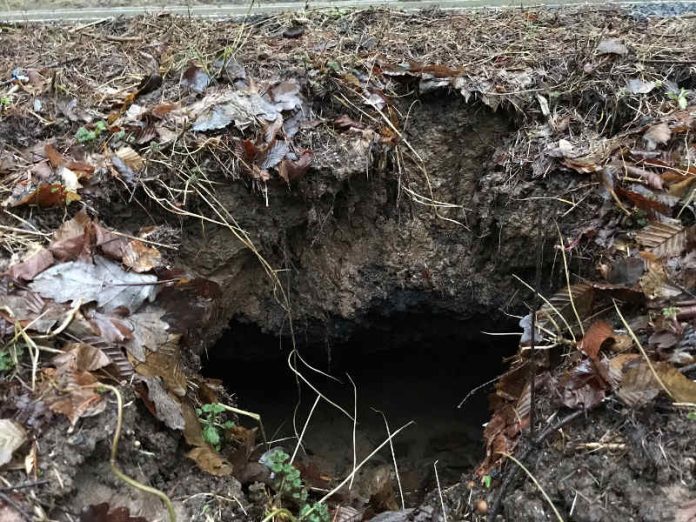 Die Schadensstelle (Foto: Presseteam der Feuerwehr VG Lambrecht) Die Schadensstelle (Foto: Presseteam der Feuerwehr VG Lambrecht)