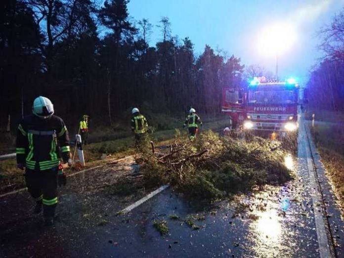 Einsatz für die Feuerwehr am frühen Morgen - L530 zwischen Haßloch und Geinsheim - Foto: Feuerwehr Haßloch