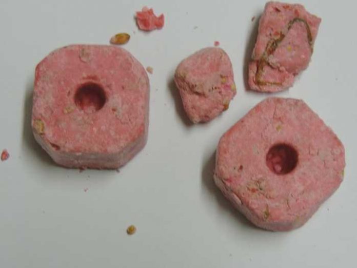Sichergestellte Rattengiftköder Sichergestellte Rattengiftköder