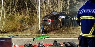 Der Fahrer des PKW wurde bei dem Verkehrsunfall tödlich verletzt (Foto: Feuerwehr Landau)