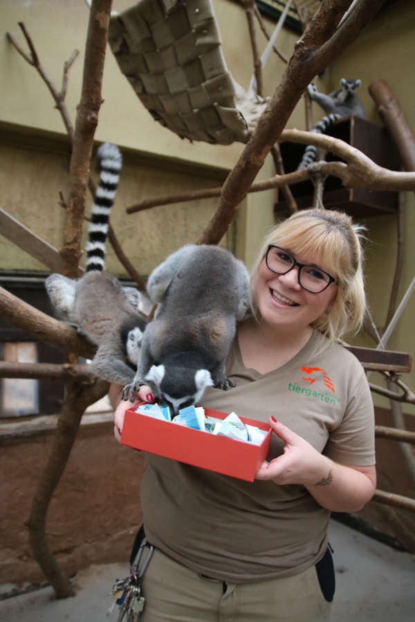 Revierleiterin Carina Decker mischte die Lostrommel und ließ sich von ihren Glücksfeen unterstützen. Die Kattas aus dem Exotenhaus ermittelten die Gewinner der Wunschboxaktion. (Foto: Freizeitbetriebe Worms)