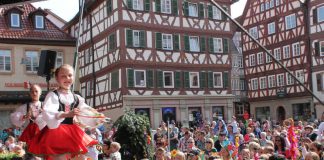 Sommertag (Foto: Stadt Mosbach)