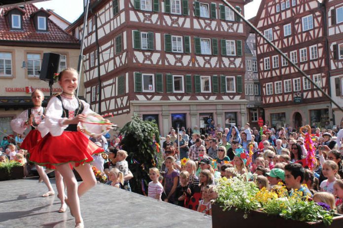 Sommertag (Foto: Stadt Mosbach)