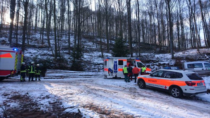 Einsatz im Wald IFoto: Presseteam der Feuerwehr VG Lambrecht)