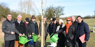 Dank einer Spende des Rotary Club Worms konnte die einzige Birnbaum-Allee im Stadtgebiet erhalten werden. Beigeordneter Uwe Franz (li.) und Rotary Club Worms-Präsident Prof. Dr. Hartmut Bindewald (2.v.li.) beim symbolischen Angießen der frisch gepflanzten Bäume mit Mitgliedern des Rotary Club und Dieter Rauh (re.) von der städtischen Grünflächenabteilung. (Foto: Stadtverwaltung Worms)