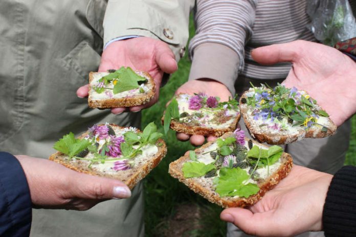 Blutenbutterbrot (Foto: Stadtverwaltung Weinheim) Blutenbutterbrot (Foto: Stadtverwaltung Weinheim)