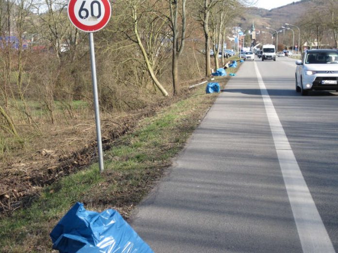 Reinigungsaktion entlang der Lorscher Straße (Foto: Stadt Heppenheim)