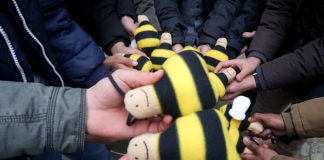 Hummel-Stofftier als Botschafterin für Frankfurts Artenvielfalt (Foto: Grünflächenamt Frankfurt)