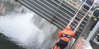 Im Überlebensanzug an einer Leine gesichert, rettet der Feuerwehrmann die Katze