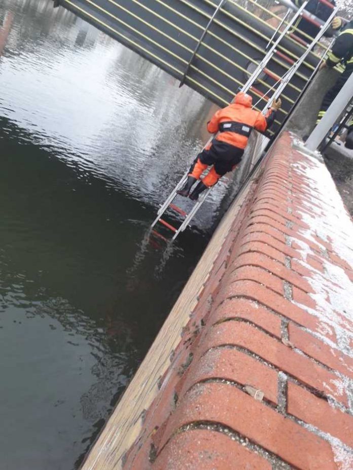 Im Überlebensanzug an einer Leine gesichert, rettet der Feuerwehrmann die Katze