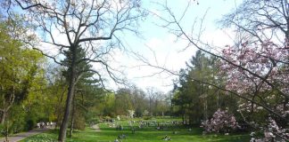 Prima Klima: Der Landauer Goethepark im Frühling. Am Donnerstag, 15. März, können sich Bürgerinnen und Bürger in einem Workshop an der Erstellung des Integrierten Klimaschutzkonzepts für die Stadt Landau beteiligen. (Foto: Stadt Landau in der Pfalz)