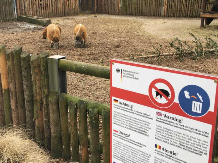 An den Gehegen der Minischweine, Pinselohrschweine und Mähnenschweine im Zoo Landau wurden zusätzlich Warn- und Hinweisschilder bezüglich eines Fütterungsverbotes angebracht. (Foto: Zoo Landau)