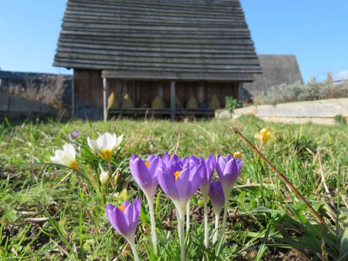 Saisonstart in Lauresham (Foto: Verwaltung der Staatlichen Schlösser und Gärten, UNESCO Welterbe Kloster Lorsch)