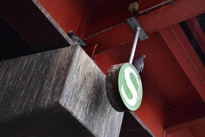 Tauben und ihre Hinterlassenschaften an der S-Bahn-Station Galluswarte (Foto: Amt für Straßenbau und Erschließung Frankfurt)