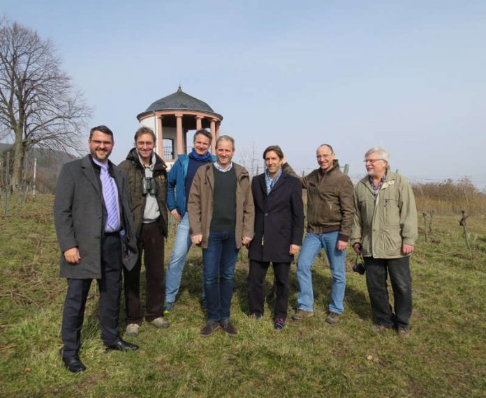 Die Weinberge am Sonnenweg steht eine große Zukunft bevor (v.li.: OB Marc Weigel, Clement Heber (GNOR), Dr. Andreas Bauer (Pollichia), Steffen Christmann (Weingut A. Christmann), Philipp David Catoir (Weingut Müller-Catoir), Klaus Hünerfauth (Umweltabteilung), Fritz Thomas (Pollichia). (Foto: Stadtverwaltung Neustadt)