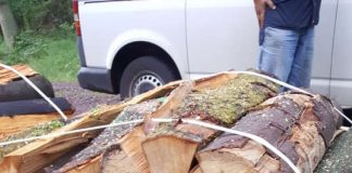 Bild eines Holzbündels, in denen der Forstzweckverband entsprechende Geräte angebracht hat. (Foto: Gemeindeverwaltung Haßloch)