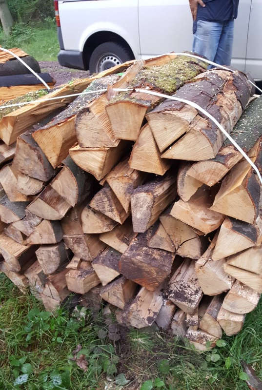 Bild eines Holzbündels, in denen der Forstzweckverband entsprechende Geräte angebracht hat. (Foto: Gemeindeverwaltung Haßloch)