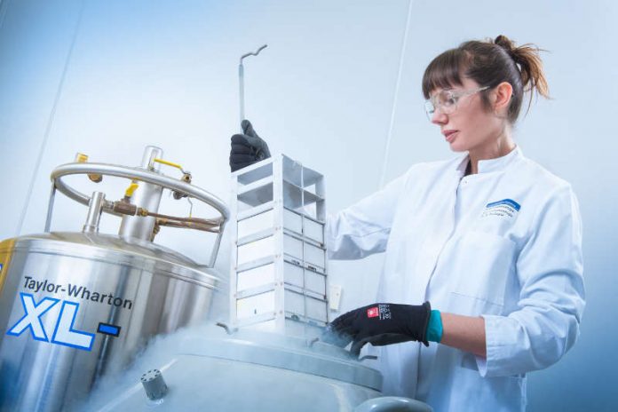 Die Malariaforscherin Dr. Silvia Portugal untersucht, wie der Malaria-Erreger die Trockenzeit überwindet. (Foto: Universitätsklinikum Heidelberg) Die Malariaforscherin Dr. Silvia Portugal untersucht, wie der Malaria-Erreger die Trockenzeit überwindet. (Foto: Universitätsklinikum Heidelberg)