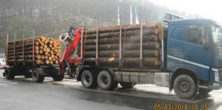 Knapp 10 Tonnen zu viel - Holzlaster überladen!