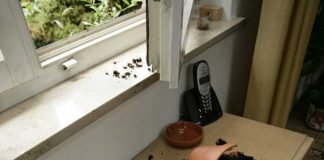 Bild: polizei-beratung.de Wohnungseinbruch
