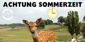 Wildtiere und Sommerzeit