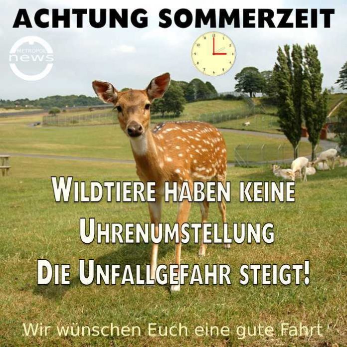 Wildtiere und Sommerzeit